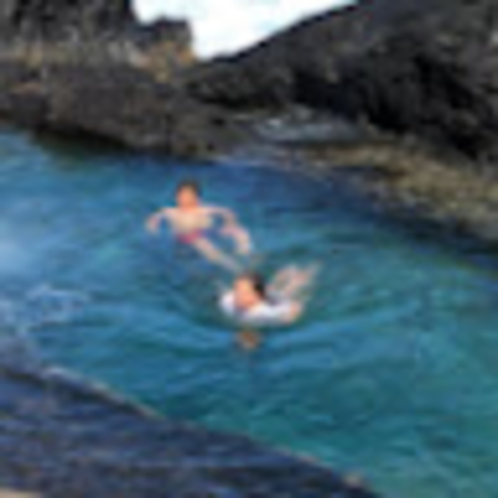 Meet your Posher, Lucy